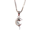Load image into Gallery viewer, Dolphin Moonstone Pendant